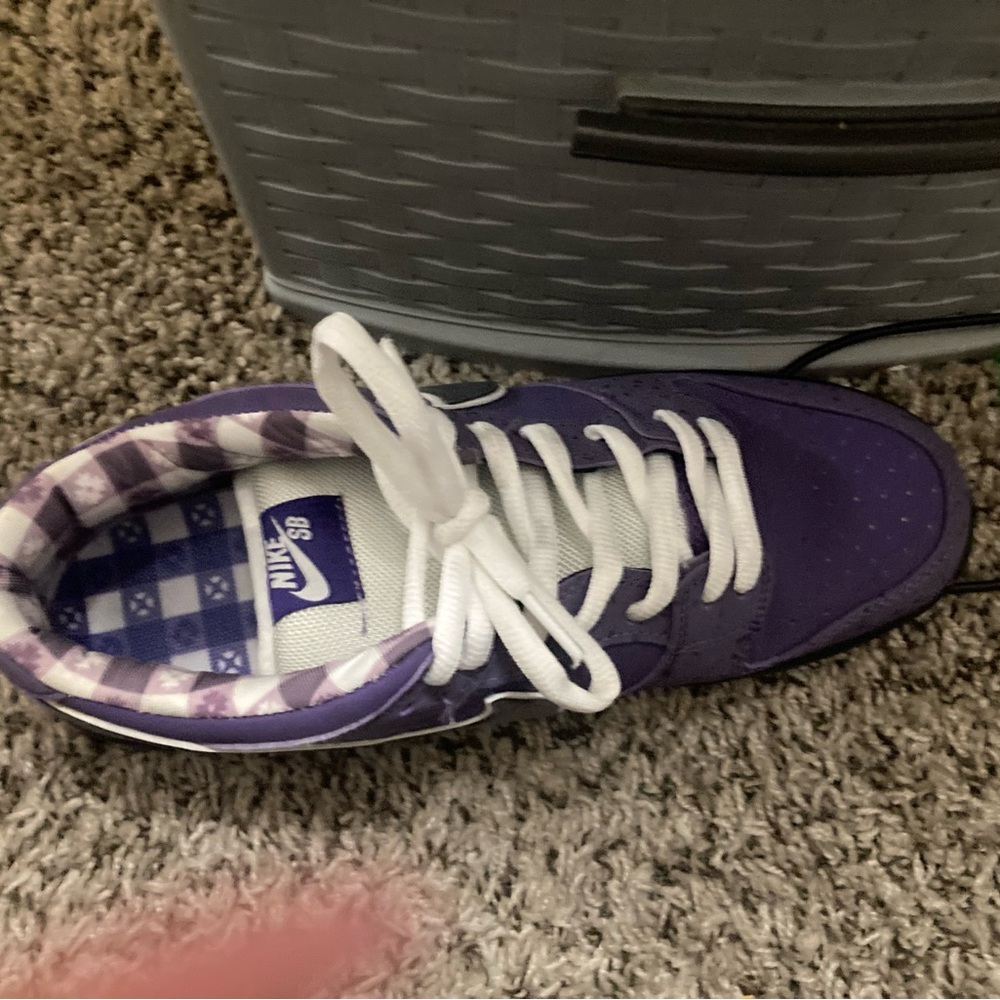 Nike SB purple lobster 9.5 Like new - Picture 5 of 8